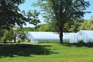 The three Rimol greenhouses