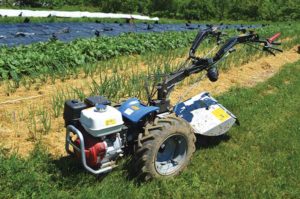 Gagne and Brautigam occasionally use a BCS walk-behind tractor in their plots.