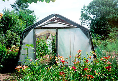 Greenhouse