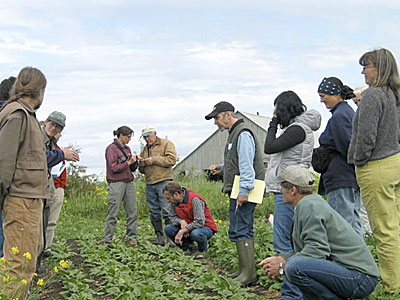 OSA Participants