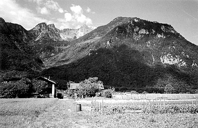 Zollinger Farmstead