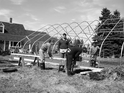 Buidling a hoop house