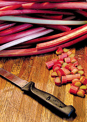 Rhubarb