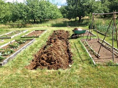 A raised bed made without a frame