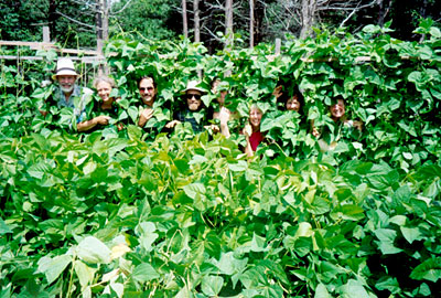 Community garden