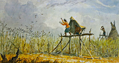 John Eastman's "Guarding the Cornfields"