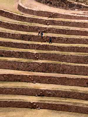 Moray terraces. Photos courtesy of Glenn A. Grube