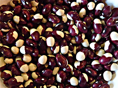 'Beautiful' dry beans