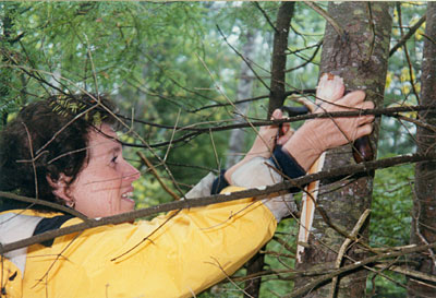 Corinne with white pine bark