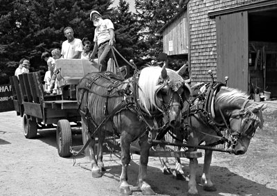 Bill and wagon ride