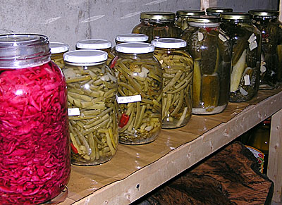 Sauerkraut, beans and pickles