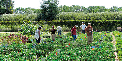 Garden tour