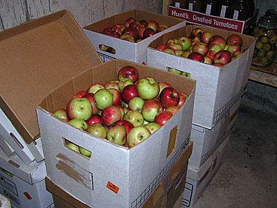 Apples filed safely