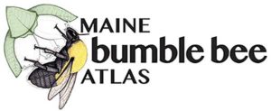 Logo of the Maine Bumble Bee Atlas