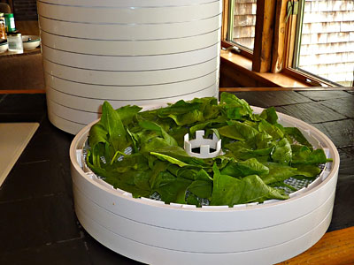 Dehydrator