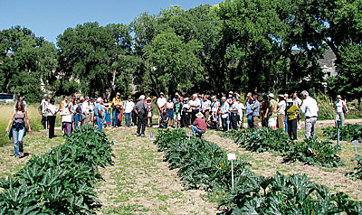 Seeds of Change farm