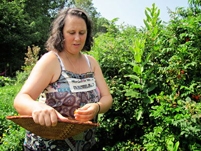 Many Hands Farm - Maine Organic Farmers and Gardeners