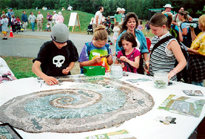 Beehive mosaic at the Fair