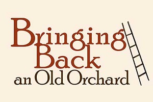 Image text reads "Bringing Back an Old Orchard"