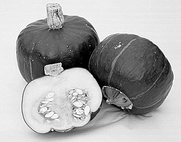 Buttercup squash