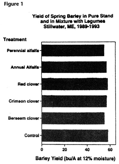 Yield of Spring Barley