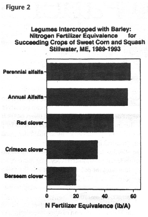 Legumes Intercropped with Barley