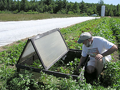 Coldframe with folding top