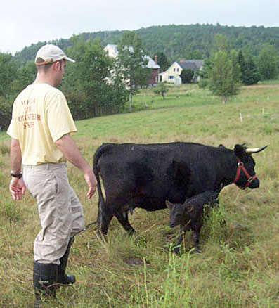 Eric Rector with Dexter cow and calf