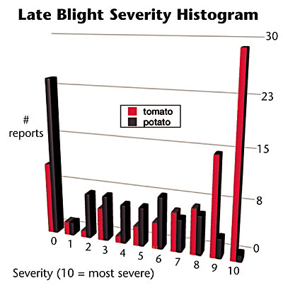 Late Blight Figure 3