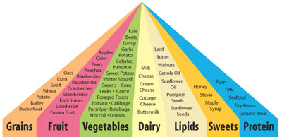 Maine Food Pyramid