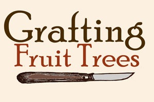 Image reads "Grafting Fruit Trees"