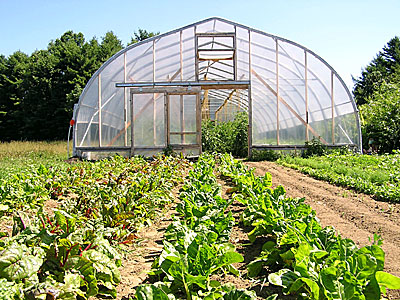 Harnois greenhouse