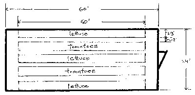 Bed layout in hoop house