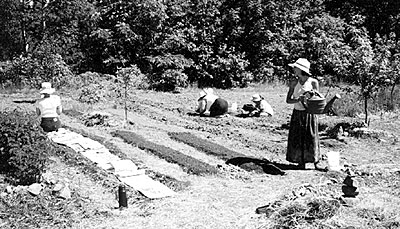 Blessed Maine herb garden