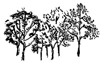 Drawing by Toki Oshima