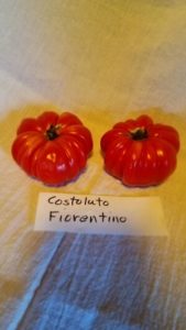 "Costoluto Fiorentino" tomato by Jumpers Hill Farm