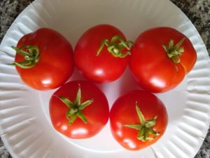 "patio"tomato by Anne Warner