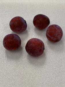 American Plums by Troy Elementary School