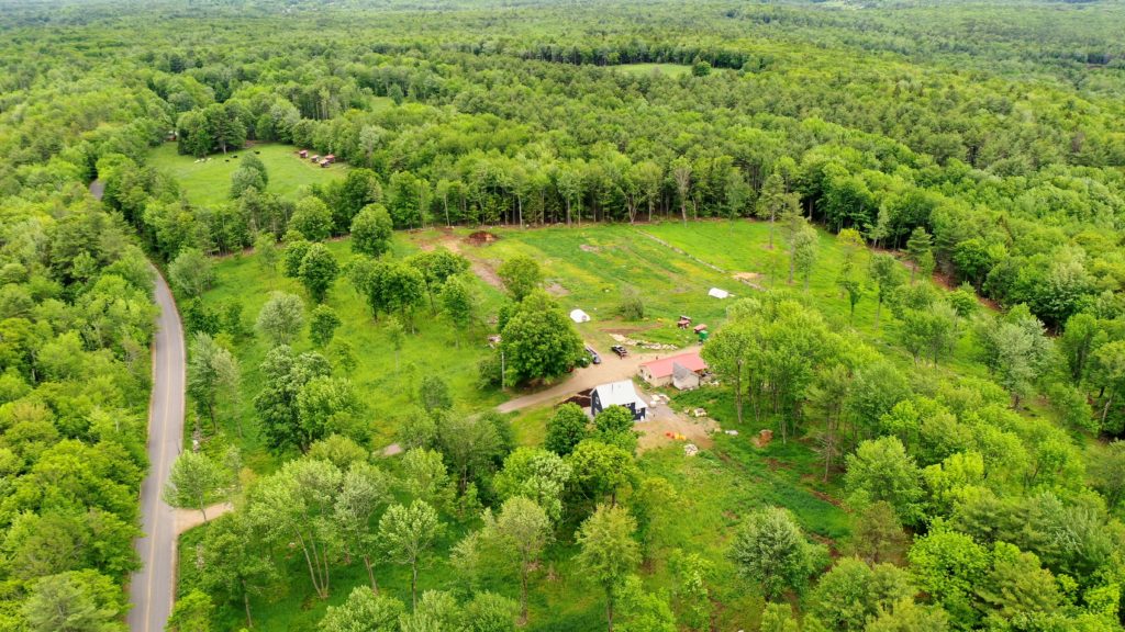 Organic non-GMO Homestead Supplies ~ Down A Cow Trail