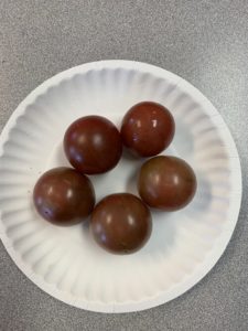 Black Cherry Tomatoes by Monroe Elementary School