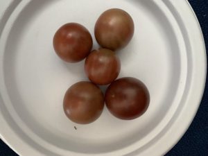 Black Cherry Tomatoes by Walker Elementary School