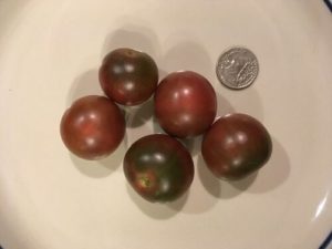 Black cherry tomato by Bridgette Bartlett