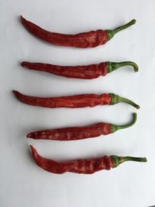 Cayenne Pepper - Red Rocket by Rosey Guest