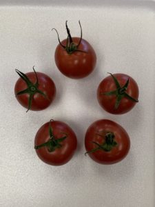 Chateau Rose Tomatoes by Troy Elementary School