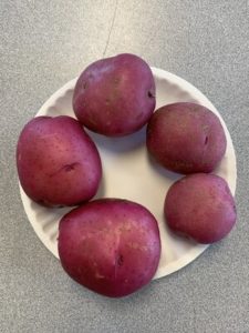 Dark Red Norland Potatoes by Monroe Elementary School