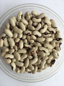 Dry bean - Algarrobo by Friends of Sam Birch