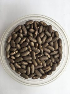 Dry bean - Cyrus Gray by Friends of Sam Birch