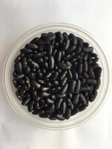 Dry bean - Midnight Blue by Rosey Guest