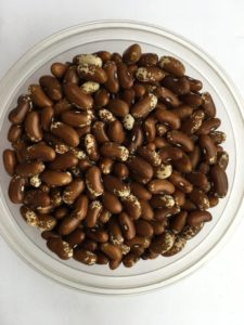 Dry bean - Pawnee Dark by Friends of Sam Birch