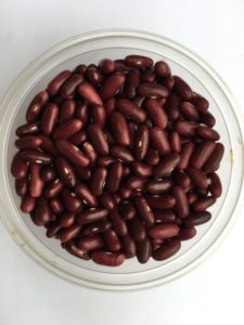 Dry bean - Windsor Long Pod by Friends of Sam Birch